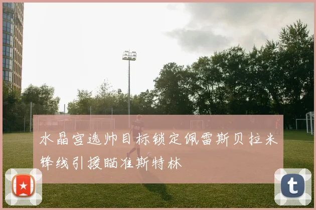 水晶宫选帅目标锁定佩雷斯贝拉米锋线引援瞄准斯特林