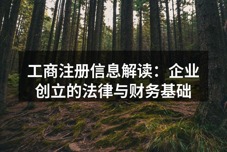 企业注册流程示意图