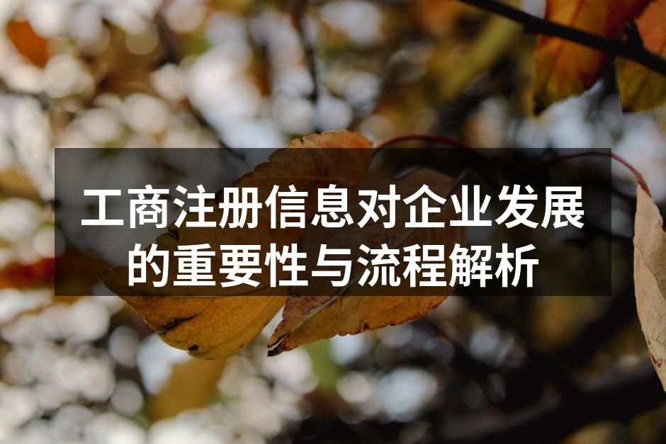 工商注册流程示意图