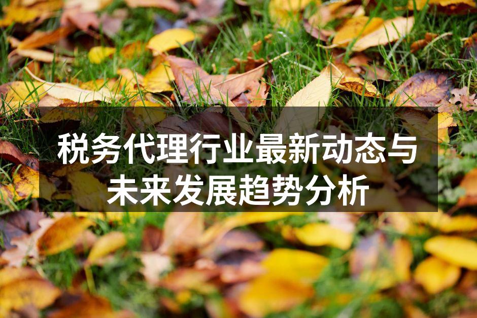 税务代理行业最新动态与未来发展趋势分析