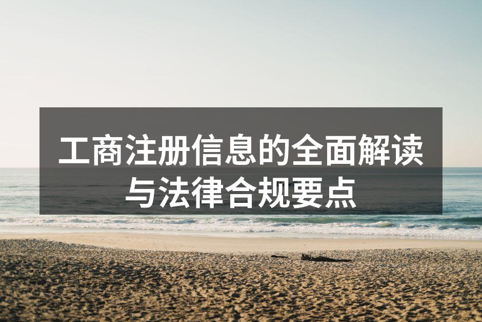 工商注册信息示例