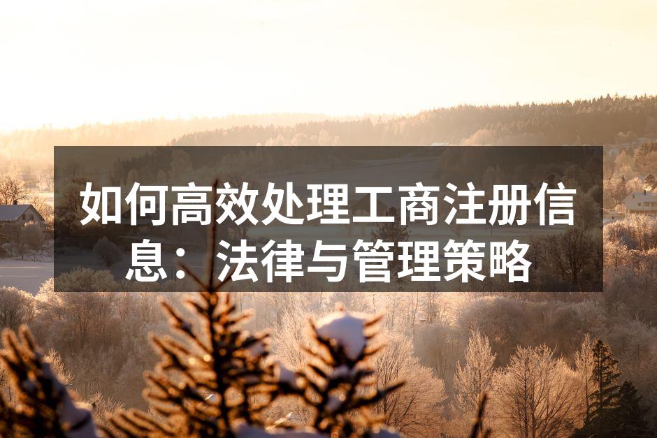 工商注册信息的重要性